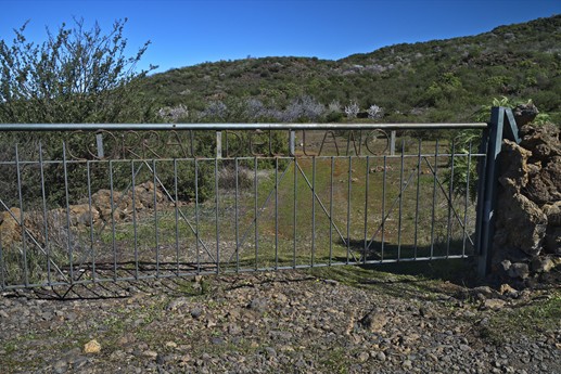 3 feb 2021 Fioritura mandorli